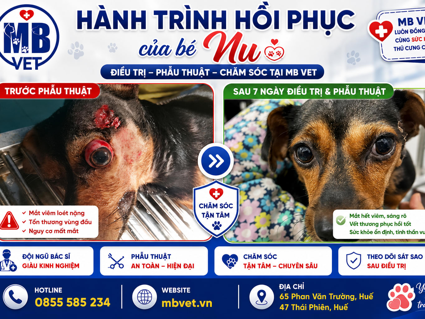 Ảnh bìa của bài viết Hành Trình Hồi Phục Của Bé Nu Sau Phẫu Thuật Mắt Tại MB VET Huế