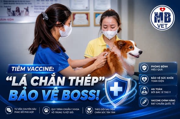 Ảnh bìa của bài viết ĐỪNG ĐỂ “MẤT BÒ MỚI LO LÀM CHUỒNG” – TIÊM VACCINE ĐÚNG LỊCH LÀ CÁCH YÊU THƯƠNG BOSS TỐT NHẤT!