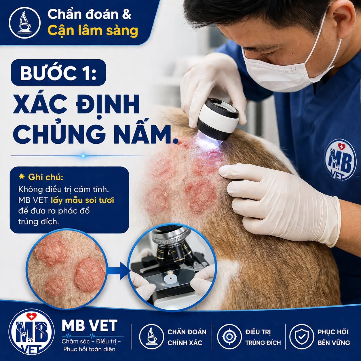 Ảnh bìa của bài viết Trị Nấm Da Mèo Hiệu Quả Sau 7 Ngày – Case Thực Tế Tại MB VET
