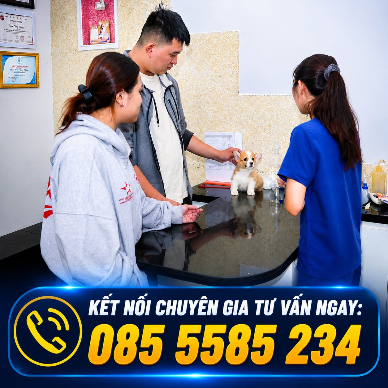 Ảnh bìa của bài viết KHI ĐÔI TAI TO CỦA “CHIẾN BINH CORGI” BẤT NGỜ GỤC NGÃ GIỮA MÙA NẮNG NÓNG!
