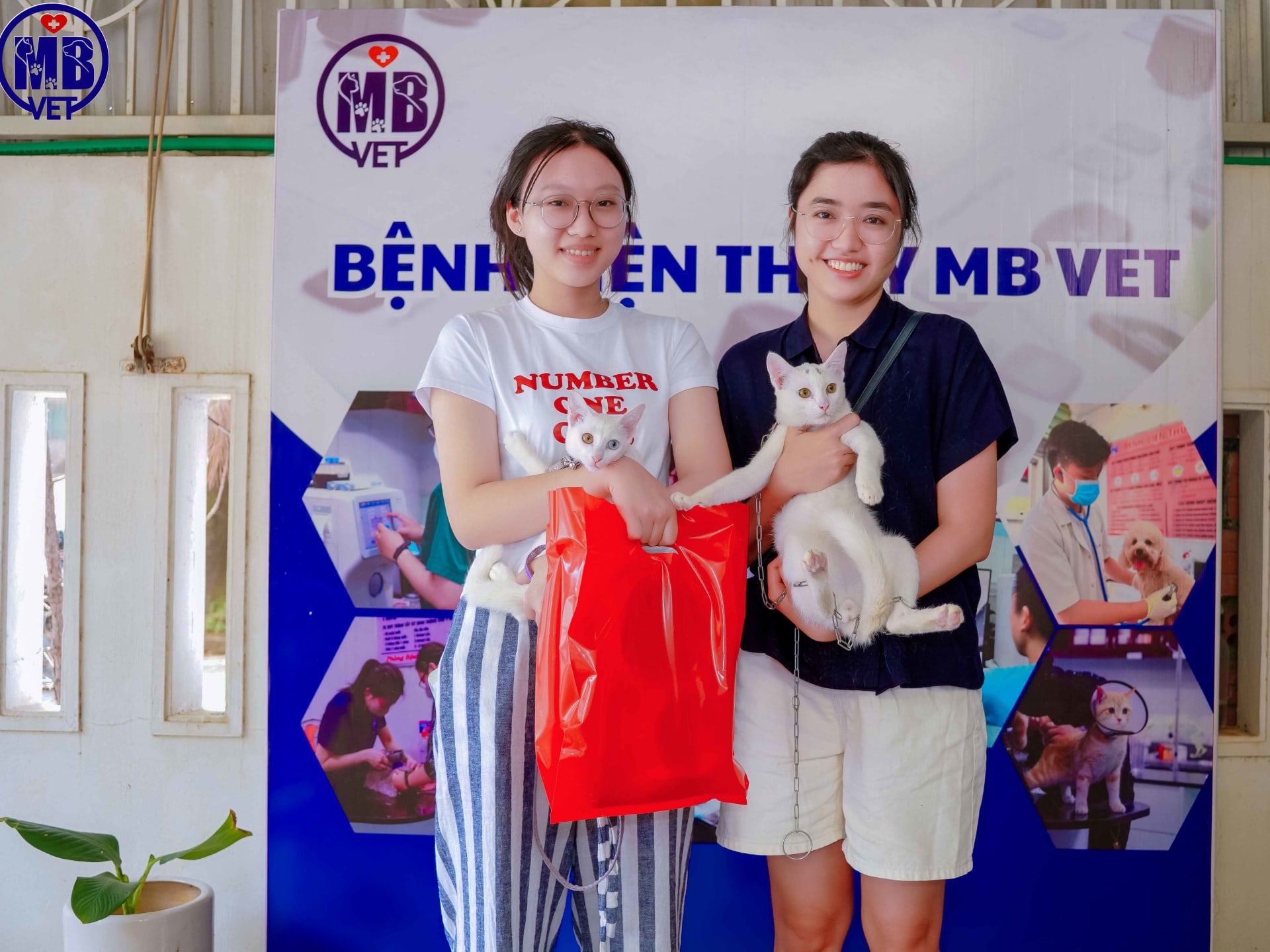 Ảnh bìa của bài viết Vì Sức Khỏe Thú Cưng 2025 – Sự kiện cộng đồng MB VET tại Huế