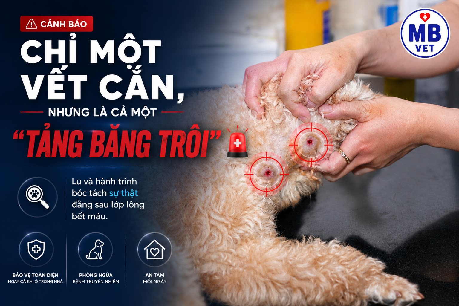 Ảnh bìa của bài viết ĐỪNG ĐỂ “VẾT CẮN NHỎ” ĐÁNH LỪA THỊ GIÁC – HIỂM HỌA NHIỄM TRÙNG ẨN SAU LỚP LÔNG THÚ CƯNG