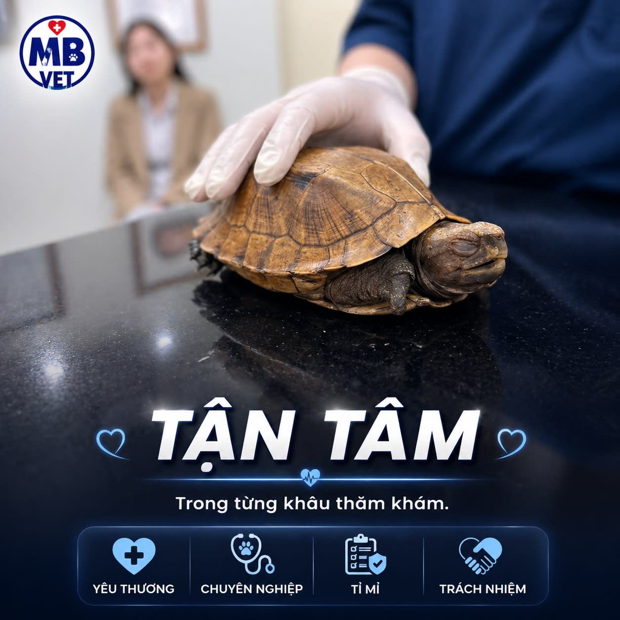 Ảnh bìa của bài viết BÉ RÙA KHÓ THỞ? Công Nghệ X-Quang Hiện Đại Giúp “Nhìn Xuyên” Lớp Mai Tại MBVET Huế