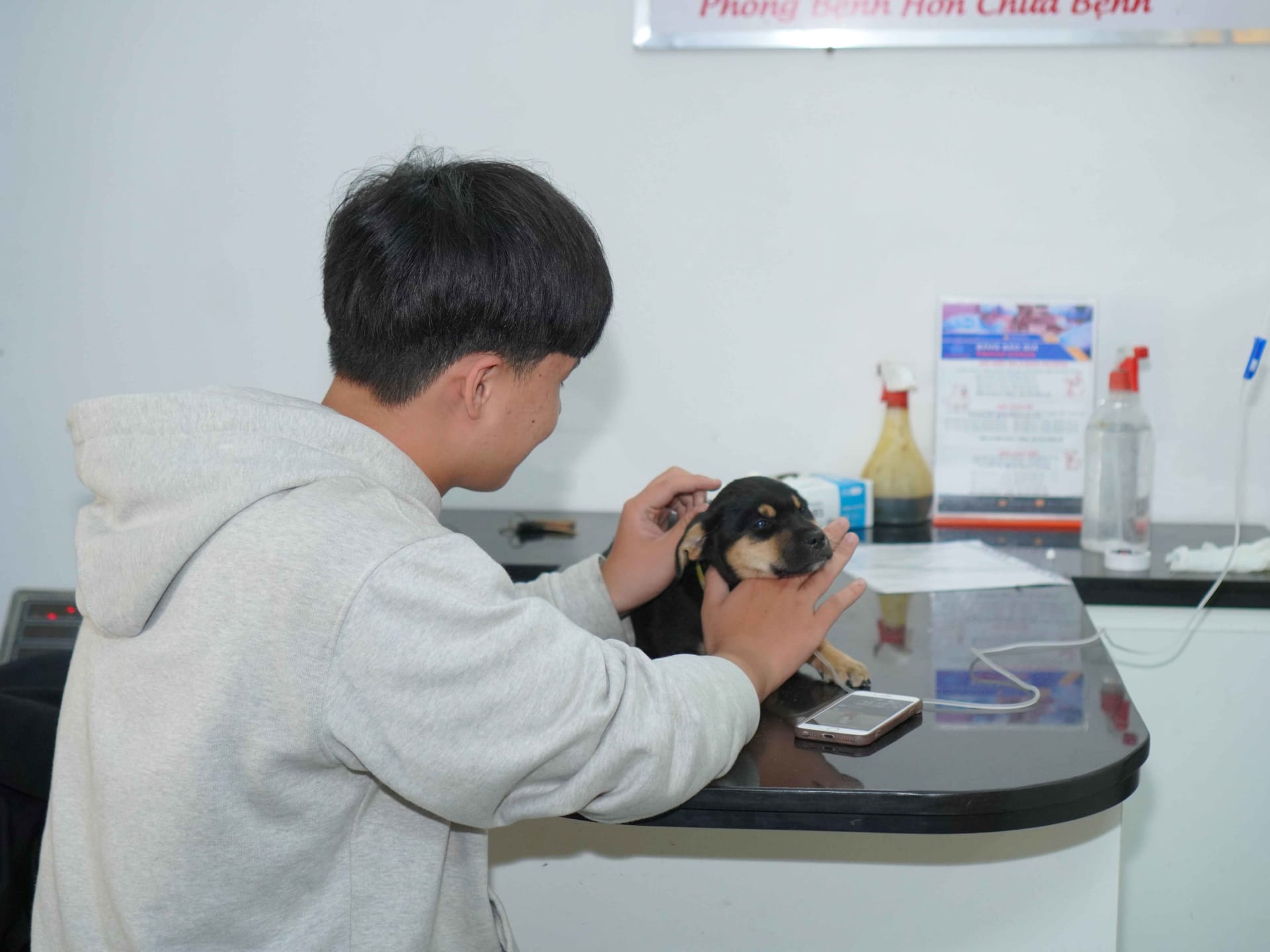Ảnh bìa của bài viết Parvo ở chó – Căn bệnh tử thần siêu lây lan! Người nuôi cần biết để phòng tránh kịp thời