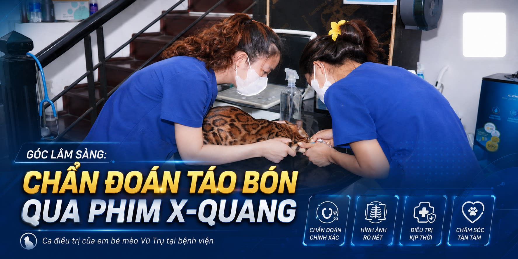 Ảnh bìa của bài viết HÀNH TRÌNH GIẢI CỨU BÉ MÈO VŨ TRỤ KHỎI NỖI LO TÁO BÓN NHỜ CÔNG NGHỆ CHỤP PHIM X-QUANG KỊP THỜI 
