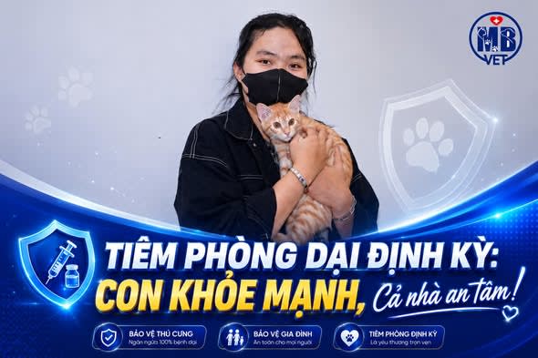 Ảnh bìa của bài viết MŨI TIÊM PHÒNG DẠI ĐỊNH KỲ VÀ SỰ AN TÂM TRỌN VẸN CỦA GIA ĐÌNH BÉ CAM