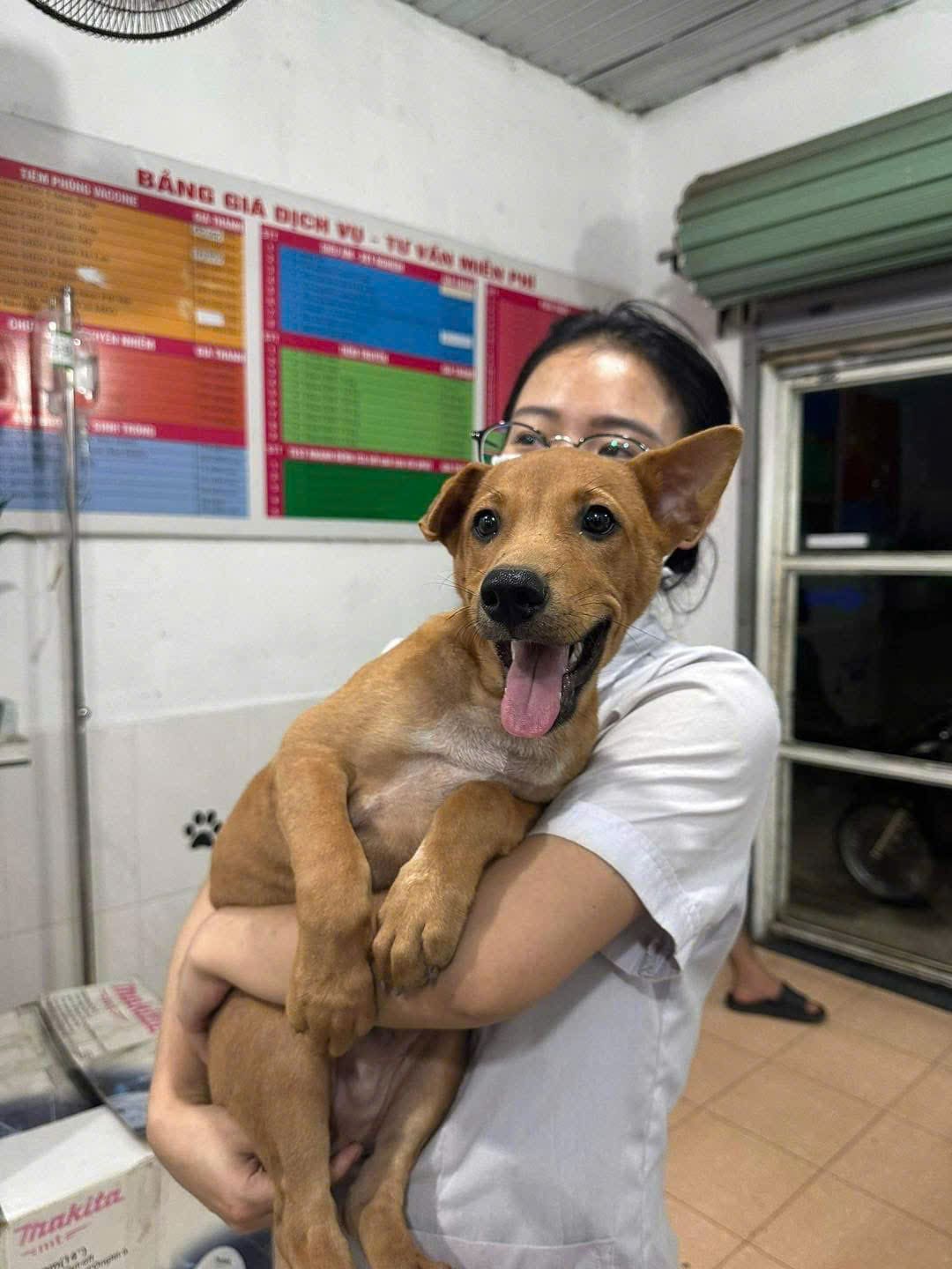 Tận tâm