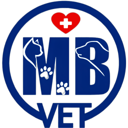 MB Vet Huế avatar
