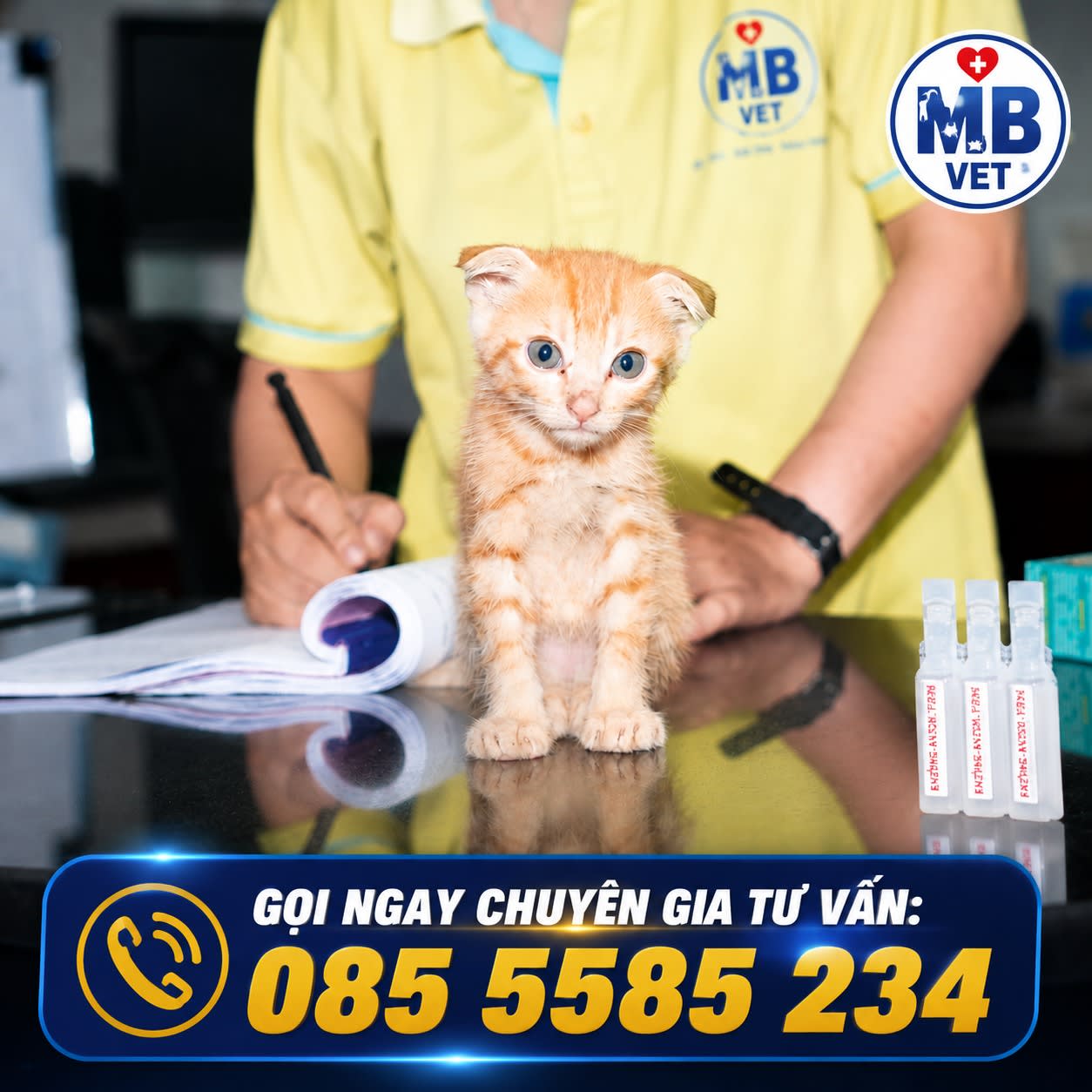 Thumbnail của [GÓC CHUYÊN GIA] – NGUY CƠ RỐI LOẠN TIÊU HÓA DO THỨC ĂN KHÓ TIÊU: KHI CHẾ ĐỘ DINH DƯỠNG “LÊN TIẾNG”!