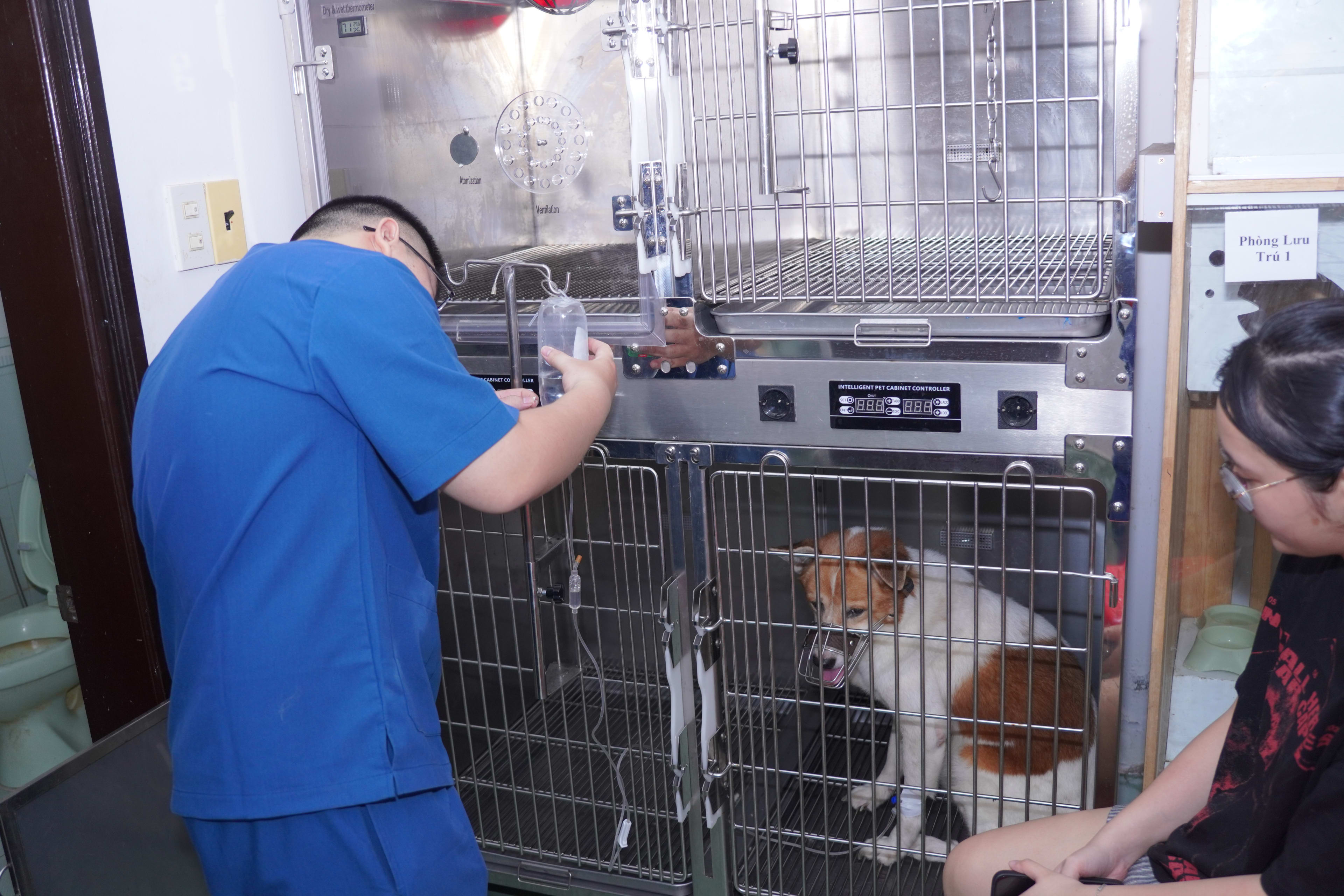 Thumbnail của Bạn Chít đồng nhiễm Babesia gibsoni và Ehrlichia canis: Phát hiện sớm nhờ xét nghiệm soi Buffy Coat tại MB VET