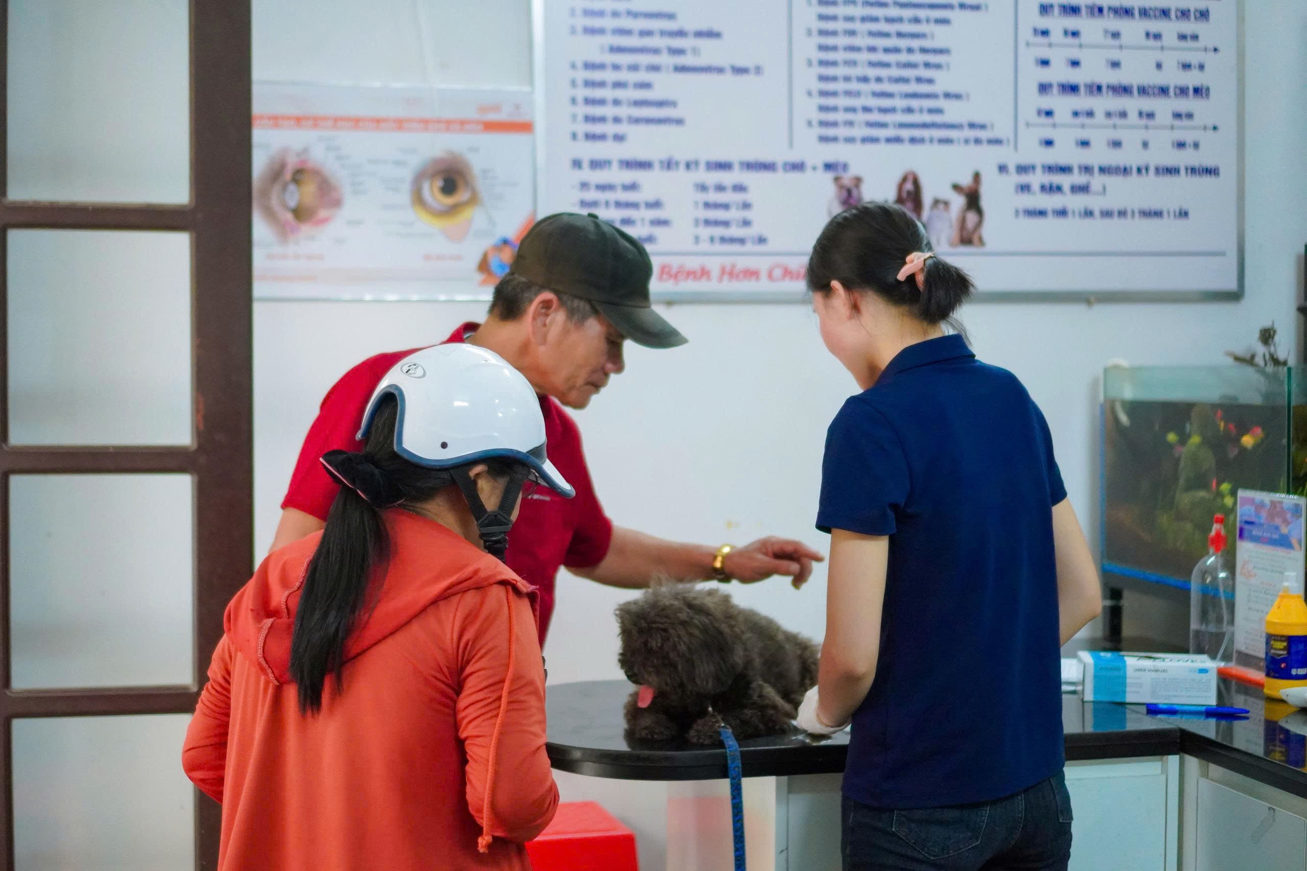Hành trình của MBVet Huế giai đoạn hiện tại