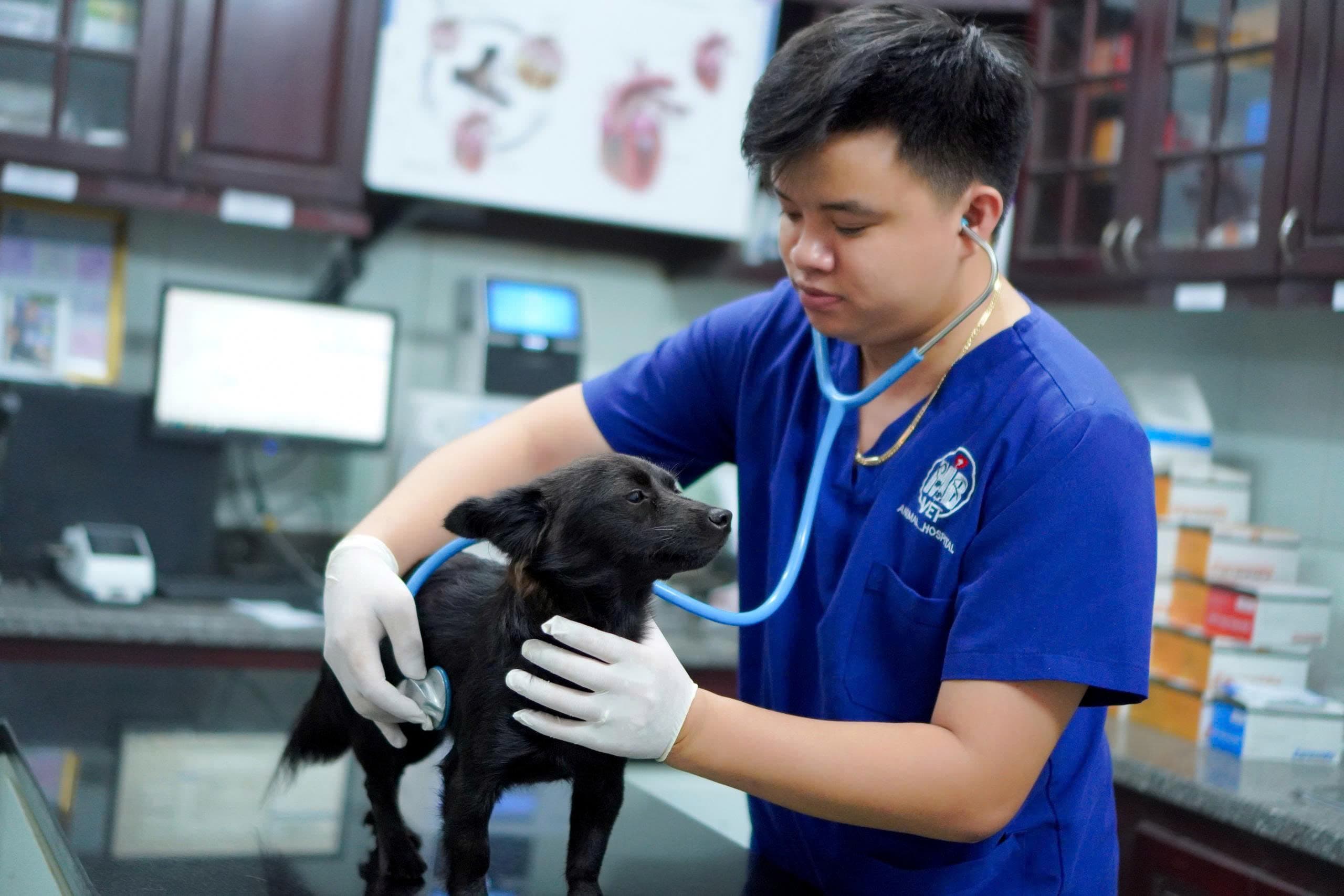 Hành trình của MBVet Huế giai đoạn 2019 - 2021