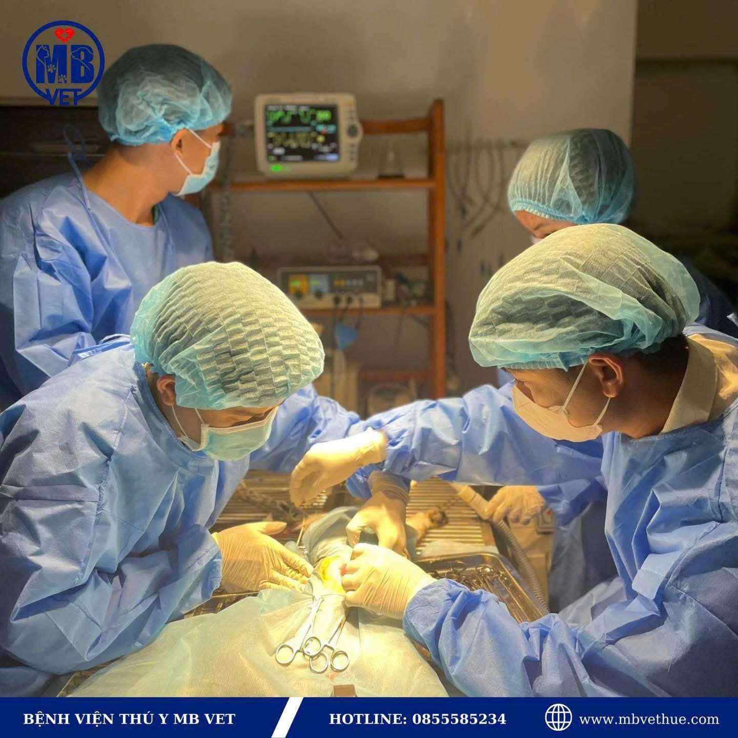 Hành trình của MBVet Huế giai đoạn 2019 - 2021