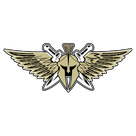 Flint New Standard Academy