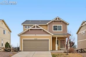 6567 Cottonwood Tree