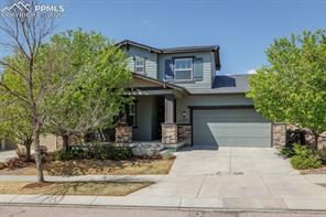 7878 Silver Birch