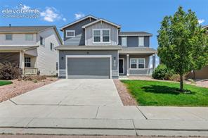 7585 Alpine Daisy