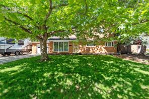 1529 Hollyhock
