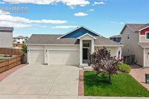 7489 Alpine Daisy