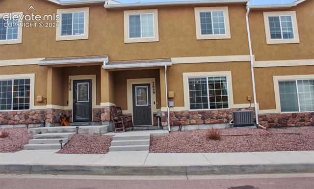 7649 Grand Fir