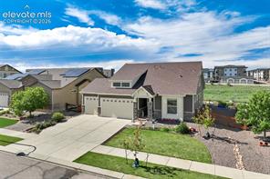 7344 Mountain Spruce