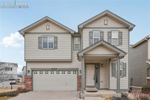 11514 Mountain Turtle