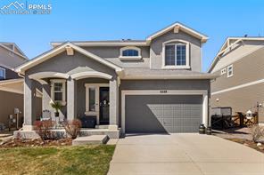 6588 Cottonwood Tree