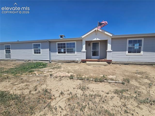 4875 Salt Cedar
