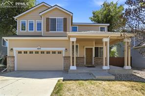 4691 Canyon Wren