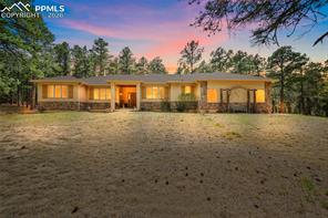 4235 Slash Pine