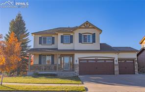 8143 Silver Birch
