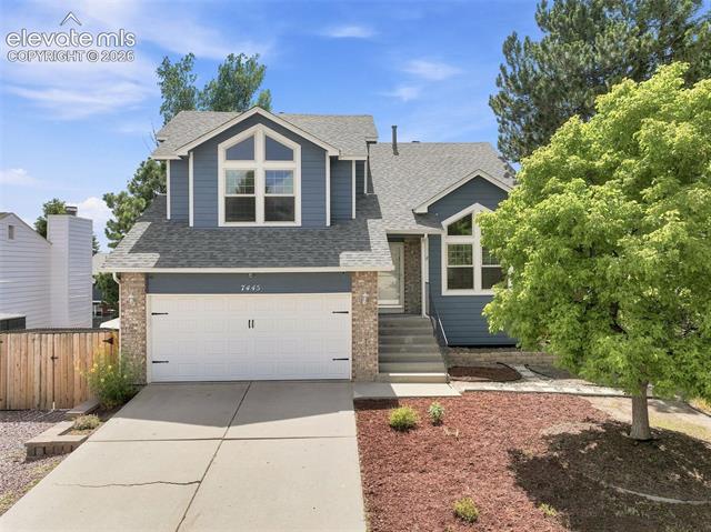 7445 Hickorywood