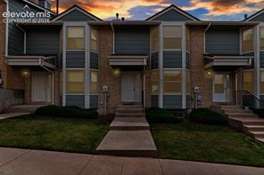 3938 Smoke Tree