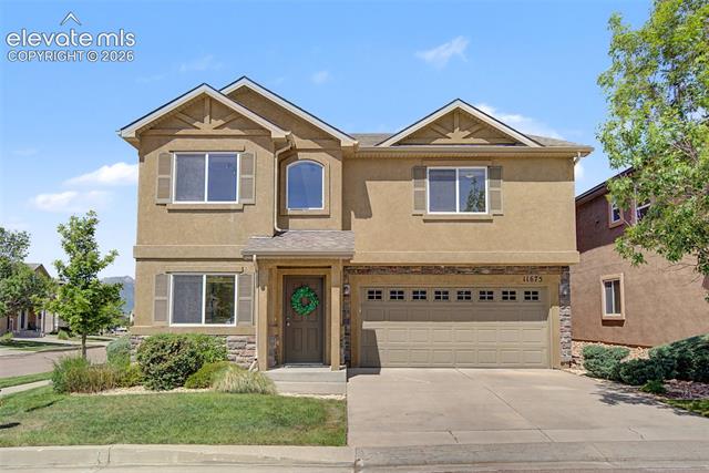 11675 Black Maple