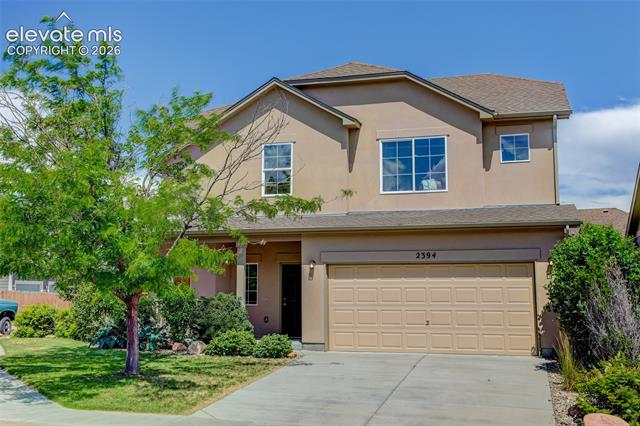 2394 Reed Grass