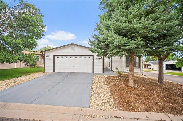 7705 Valley Quail