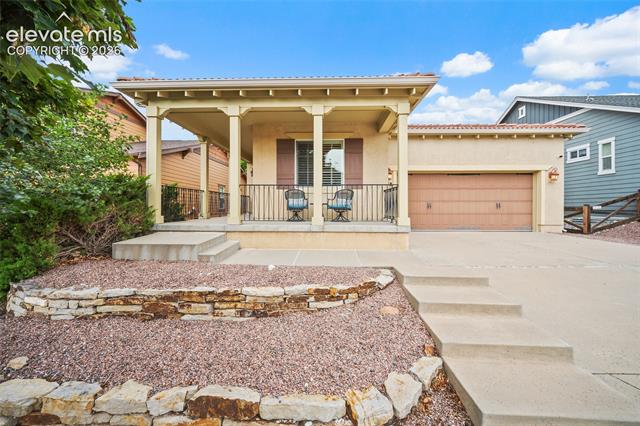7938 Silver Birch