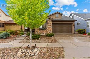7763 Buckeye Tree