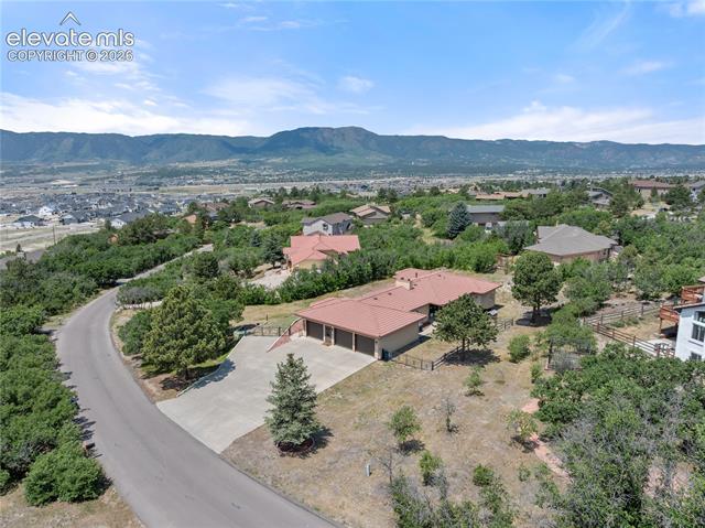 380 Scrub Oak