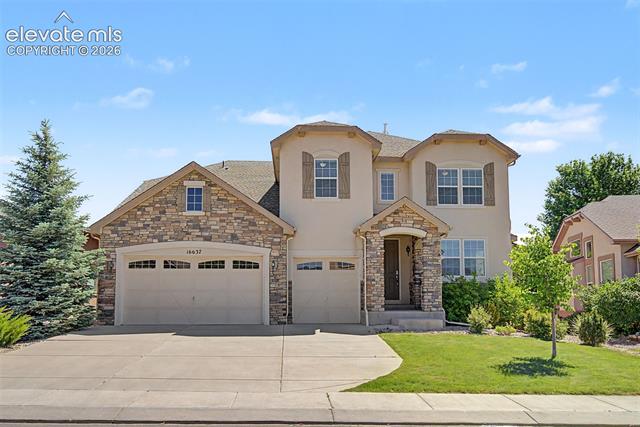 16637 Greyhawk