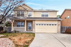 2392 Pinyon Jay