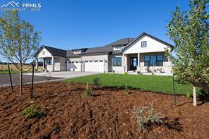 17154 Twinkling Star