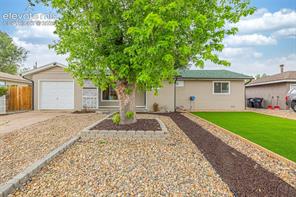 509 Chatfield