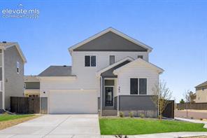 382 Indian Grass