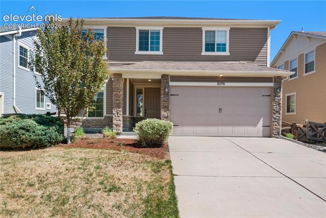 8276 Birch Tree