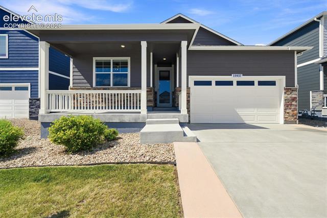 15937 Little Bluestem