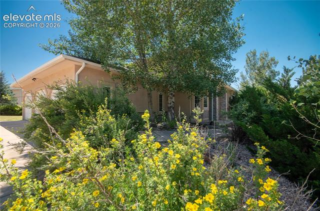 19558 Fox Trail