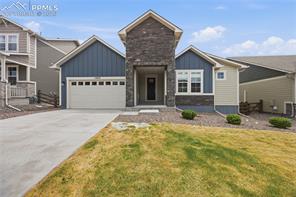 15637 Native Willow
