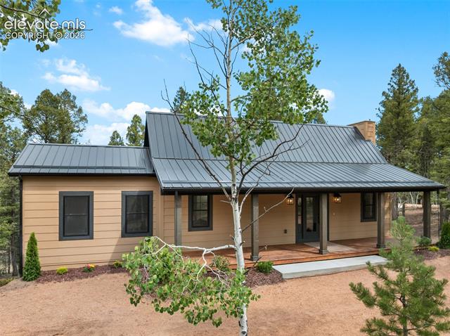 15 Juniper