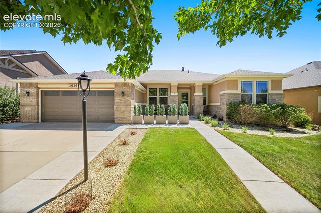 10166 Pine Glade